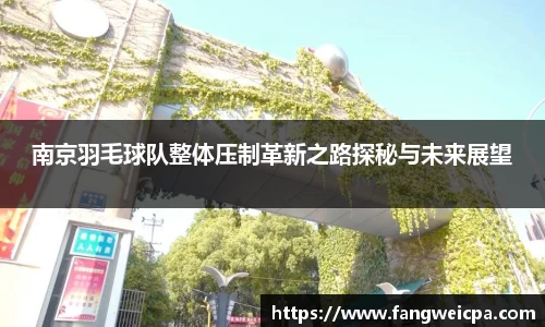 南京羽毛球队整体压制革新之路探秘与未来展望
